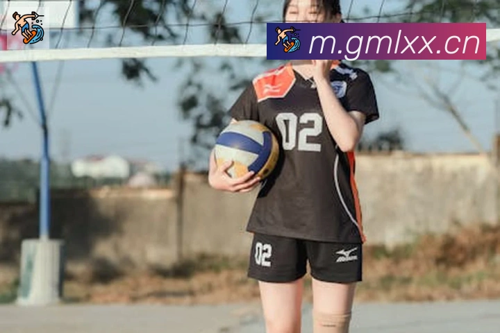 爱游戏体育app官网入口发展历程