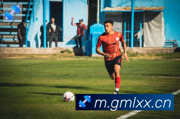 爱游戏体育app官网入口荣誉